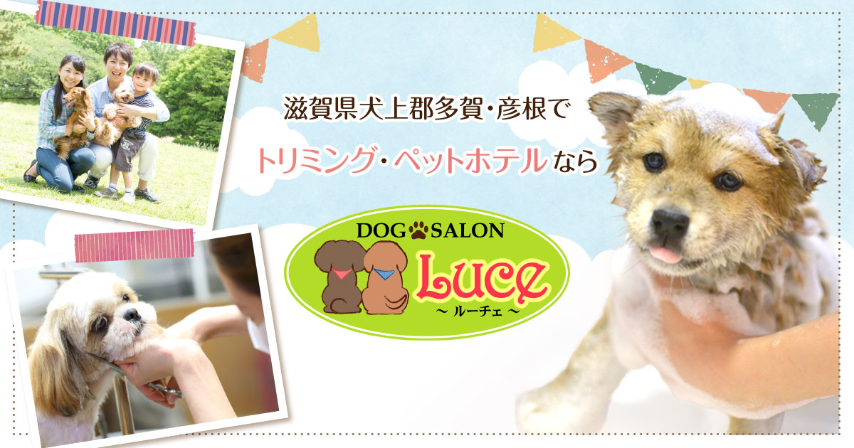 ドッグサロンルーチェ